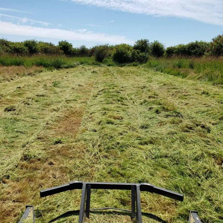 vip-landscaping-langley-brushcutting-1