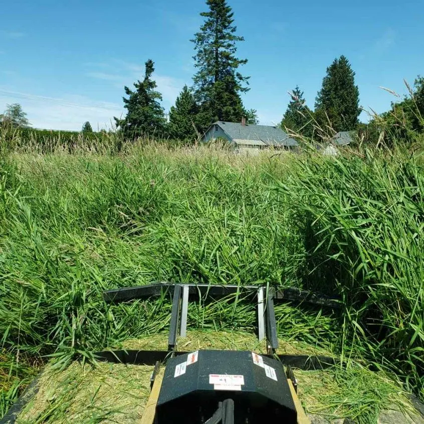 vip-landscaping-langley-brushcutting-2