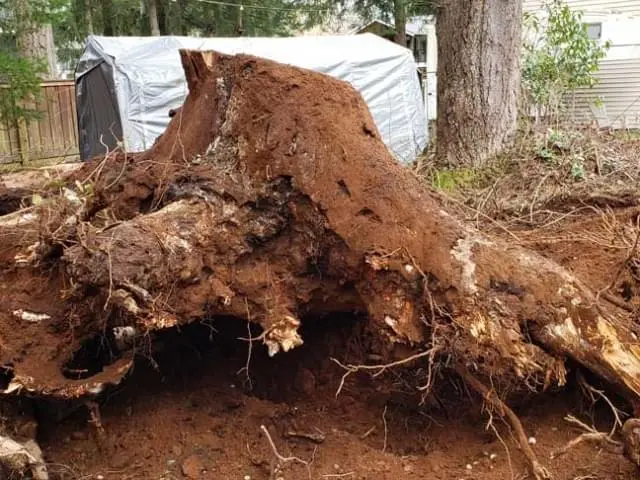 vip-landscaping-langley-excavation-6