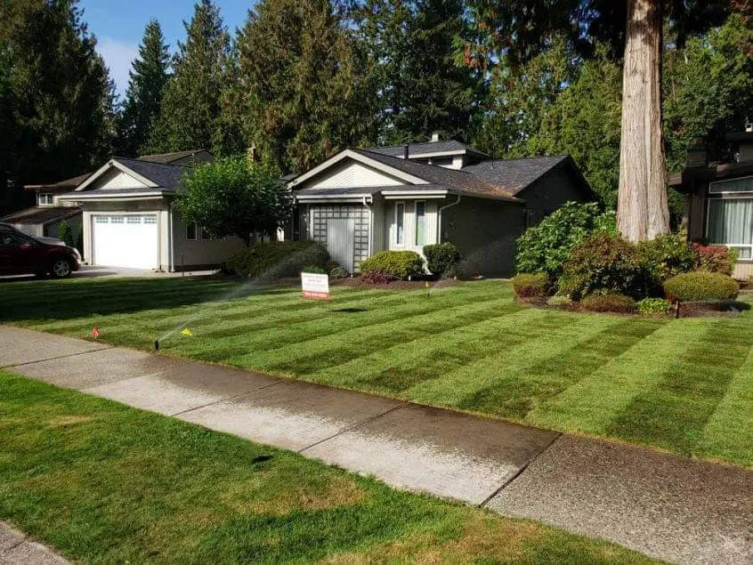vip-landscaping-langley-lawn-installations-1