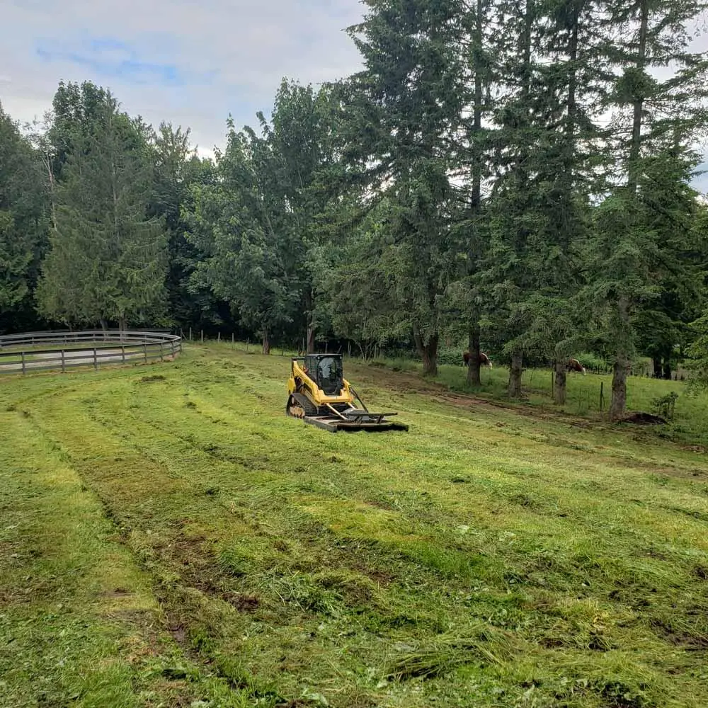 service-brush-cutting-vip-landscaping-langley