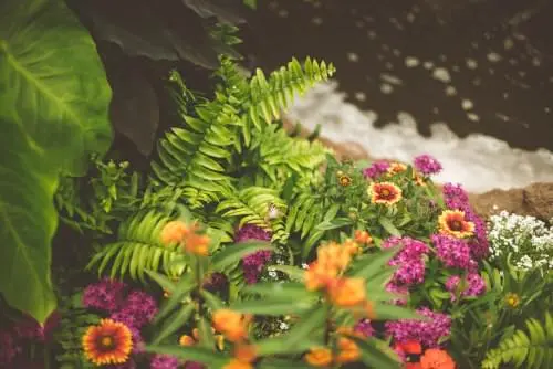 service-landscaping-vip-landscaping-langley