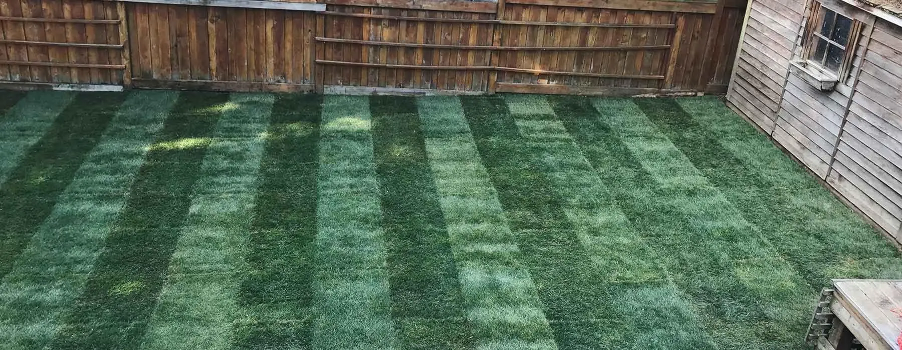 service-lawn-installation-vip-landscaping-langley