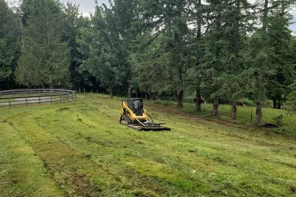 service-brush-cutting-vip-landscaping-langley