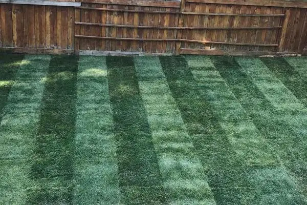 service-lawn-installation-vip-landscaping-langley